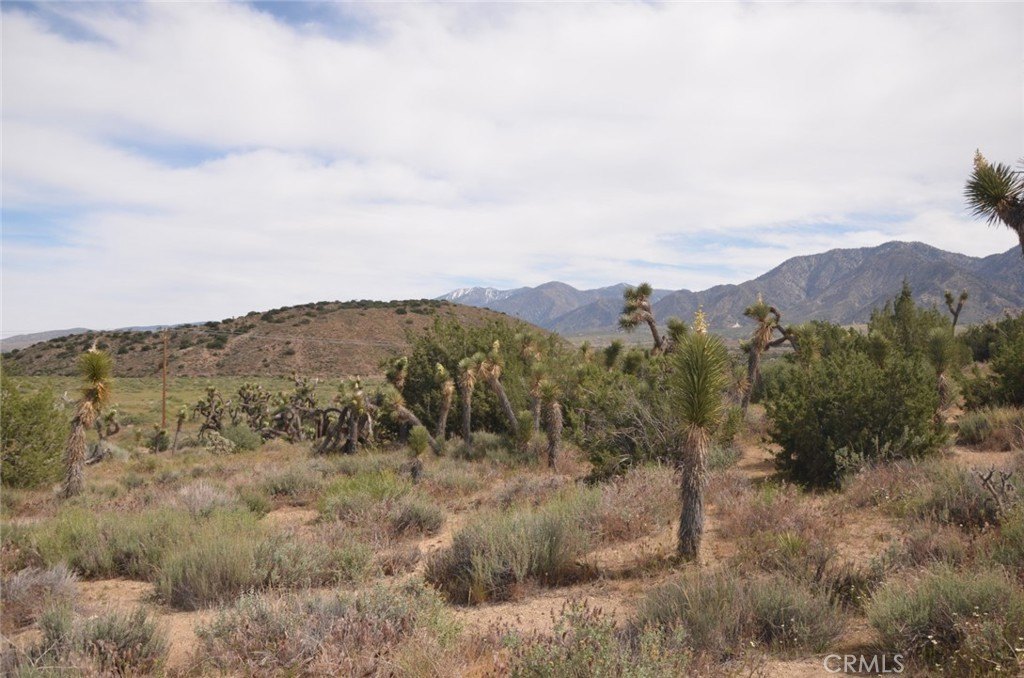 Picture 32