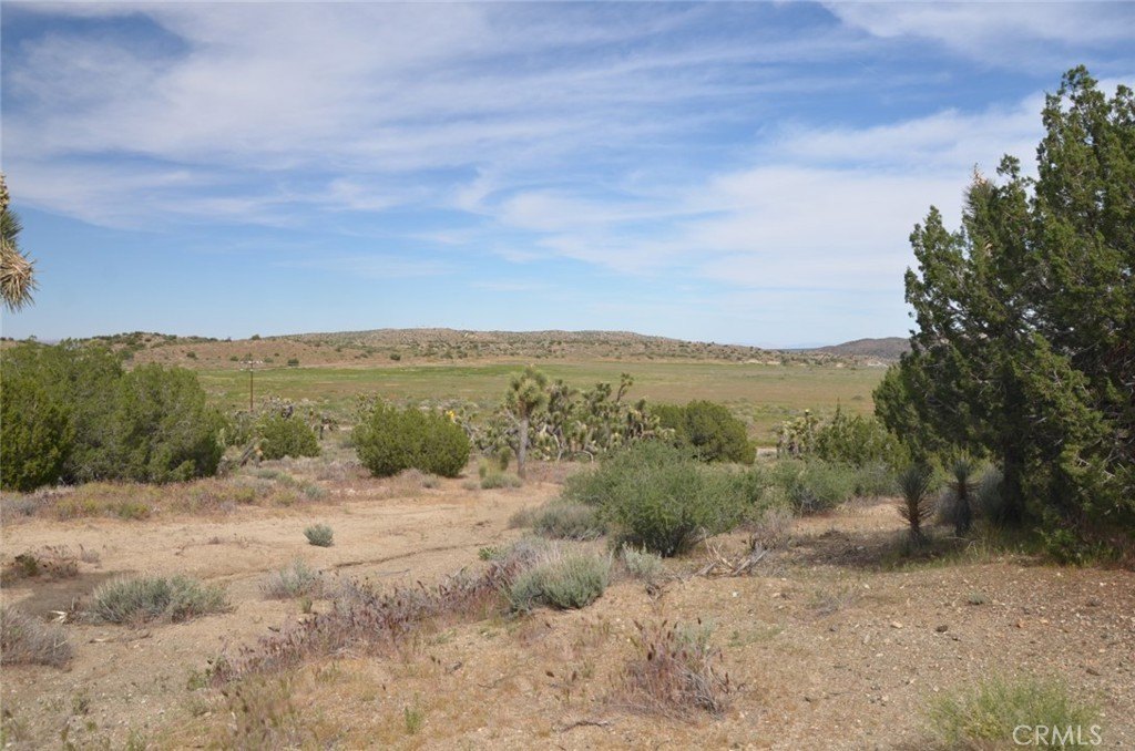 Picture 39