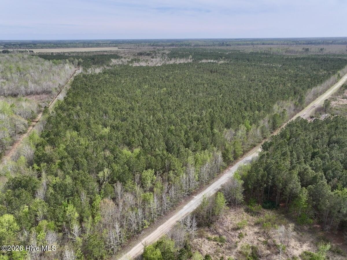 25 Acres of Hunting Land