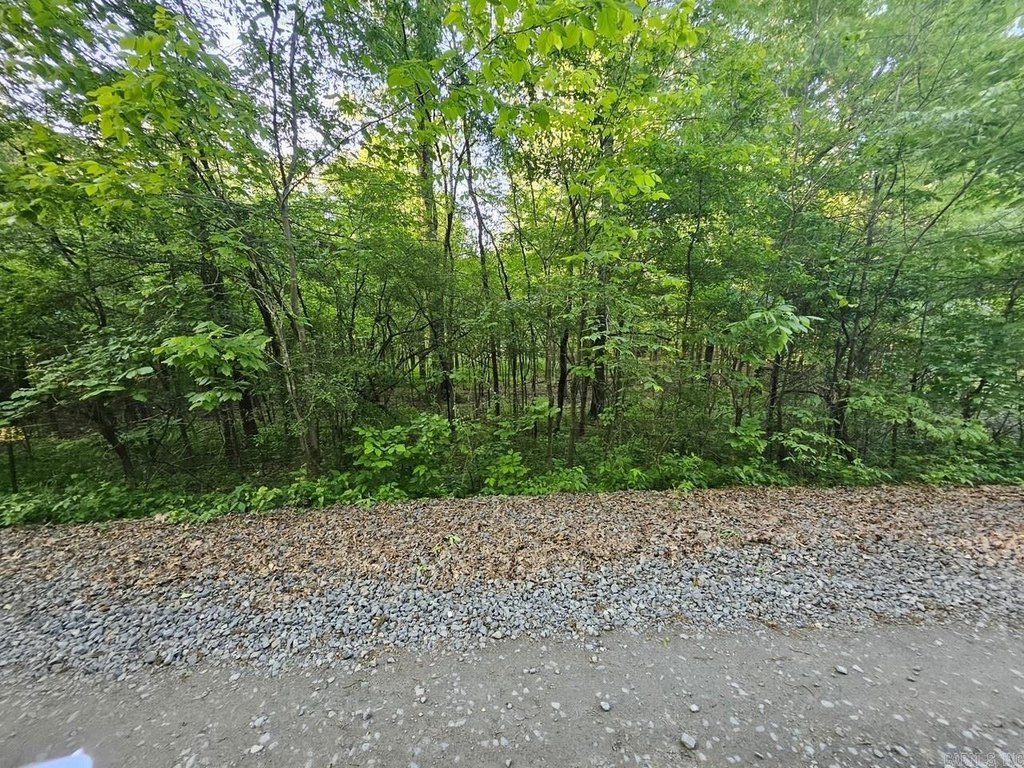 Picture 5