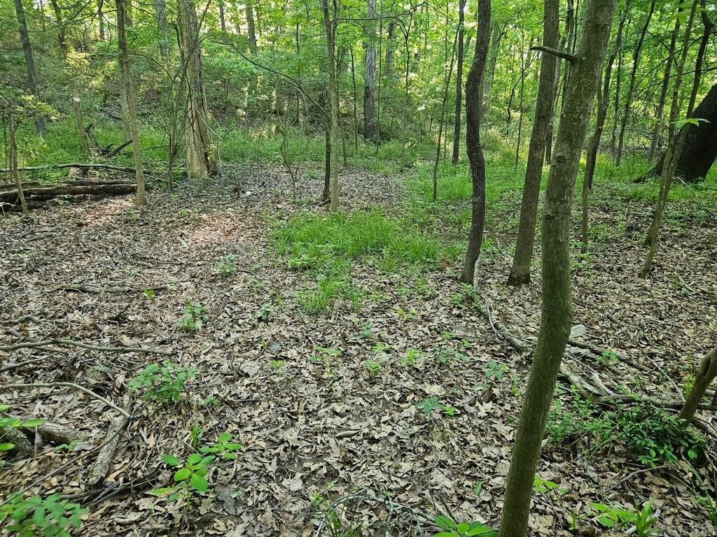 Picture 10