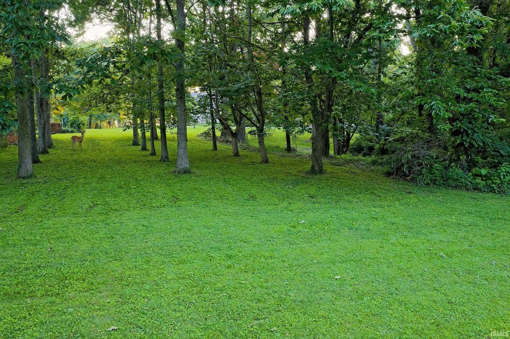 Picture 10