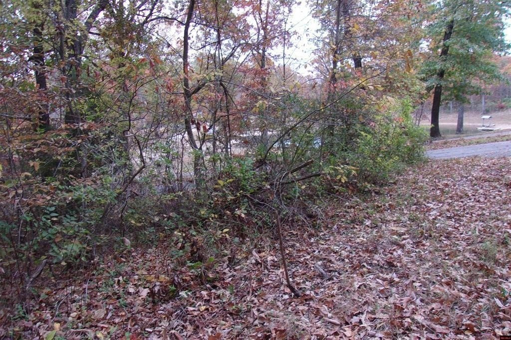 Picture 11