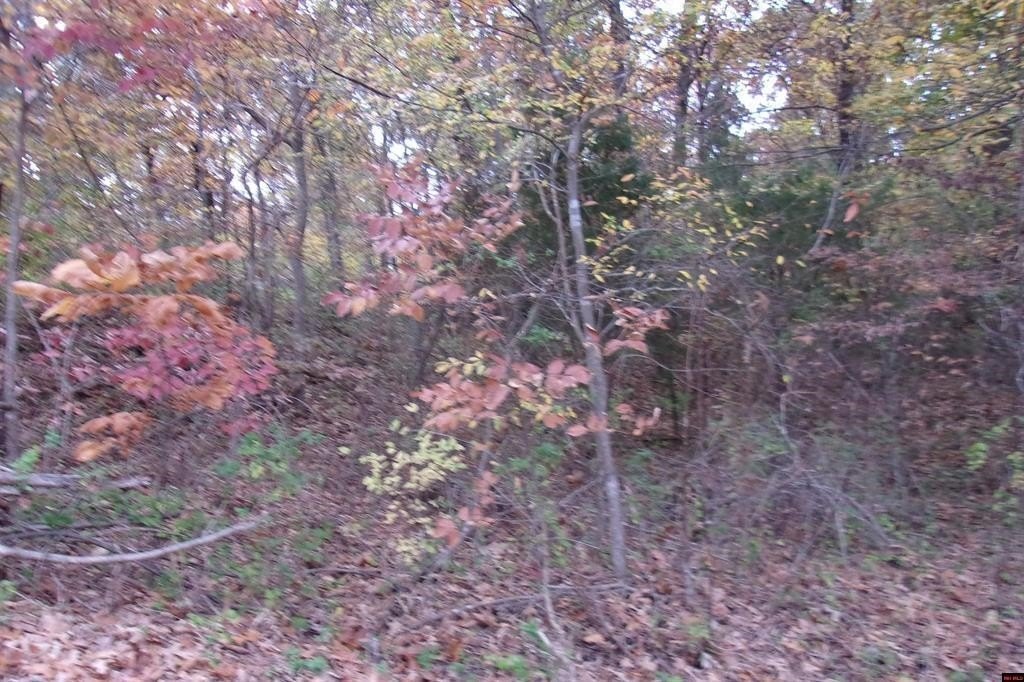 Picture 7