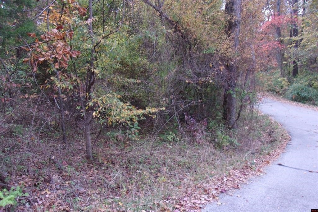 Corner Lot with Pond View