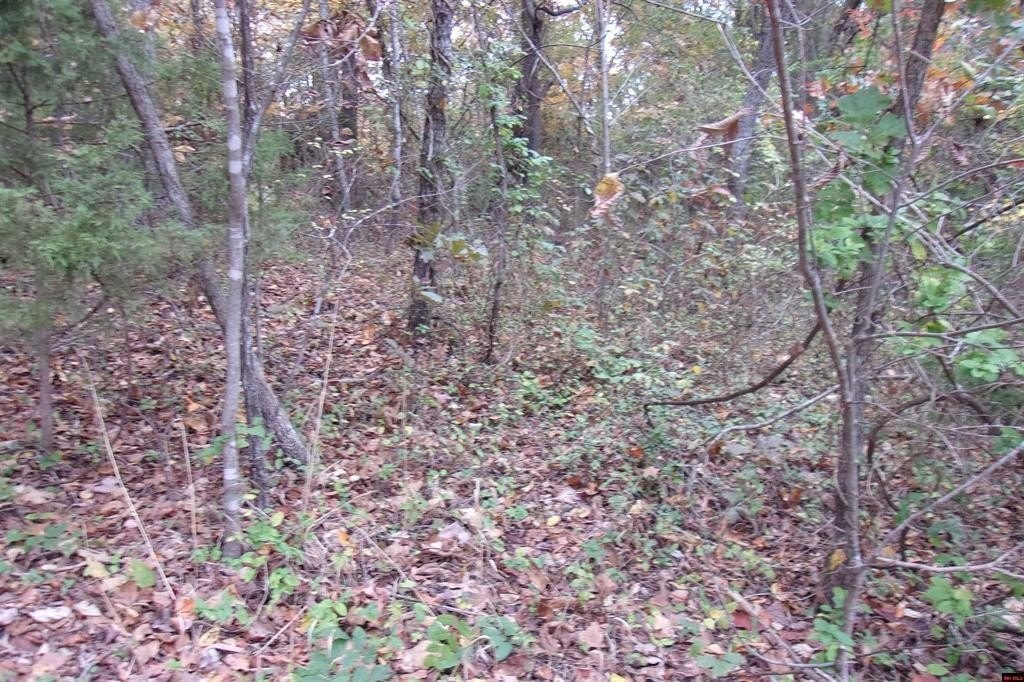 Picture 2