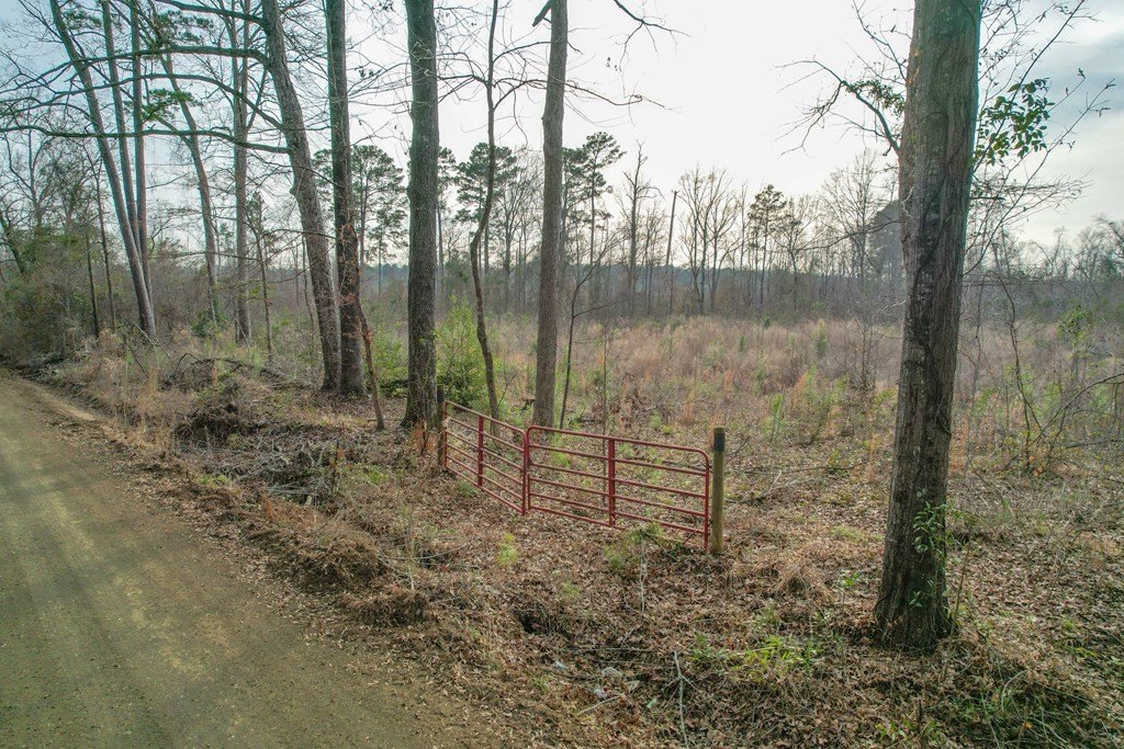 Picture 8
