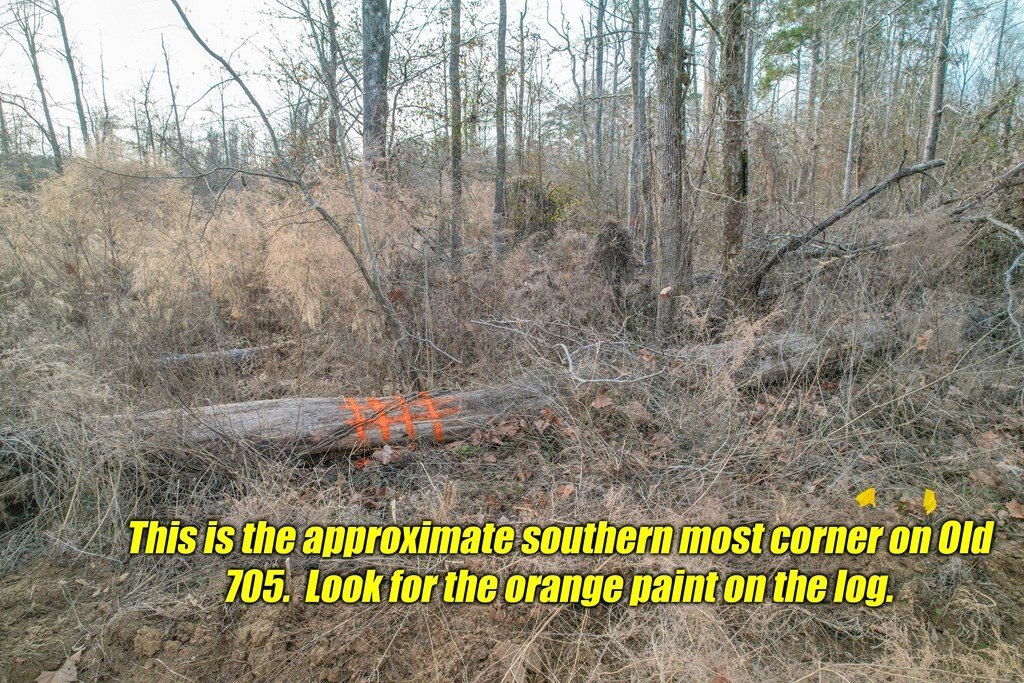 Picture 37