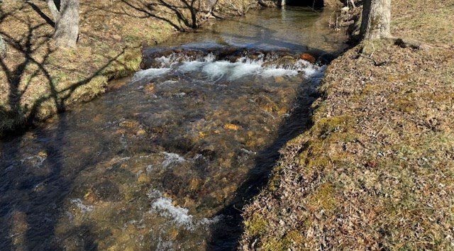 Picture 7