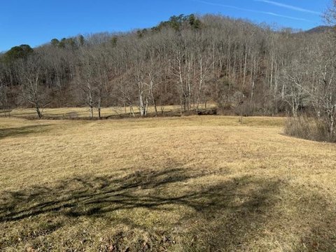 Hiawassee, GA Creek Front Lot