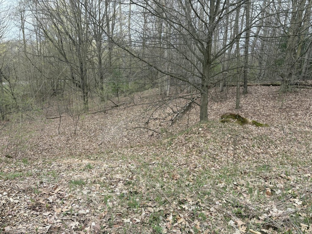 Picture 22
