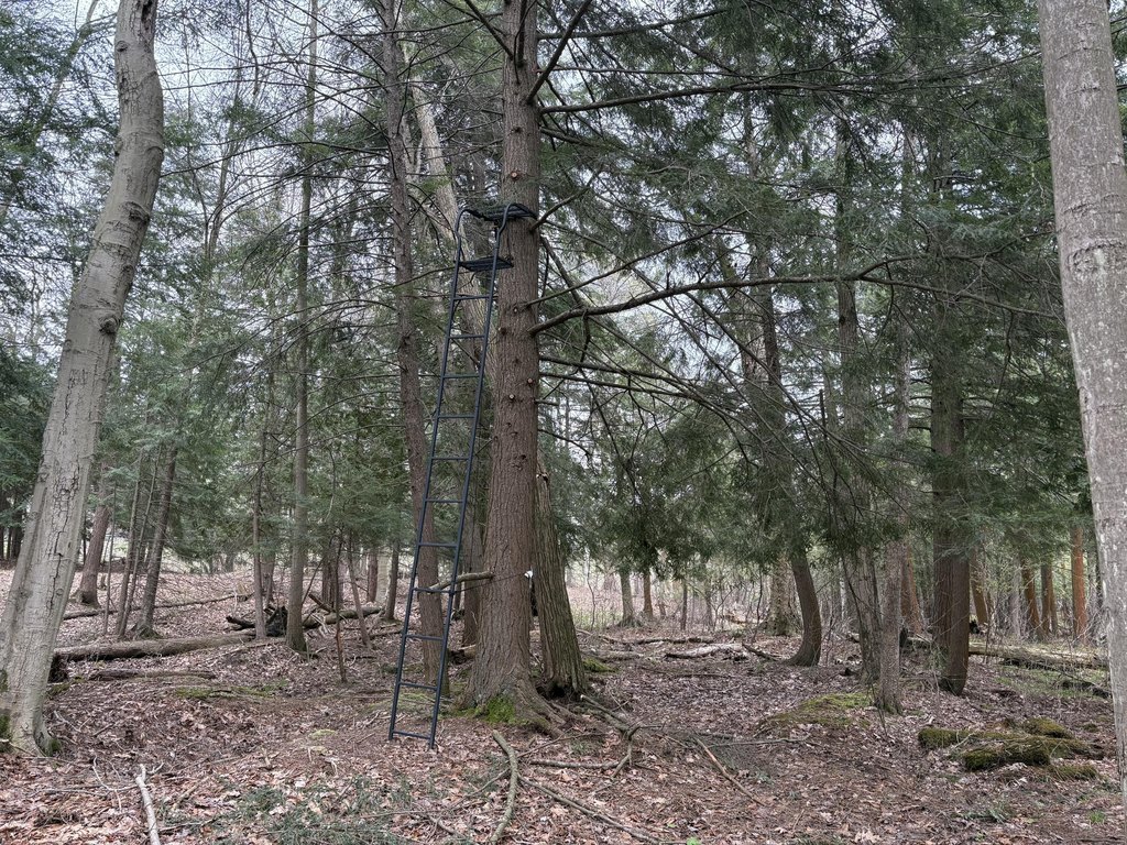Picture 16