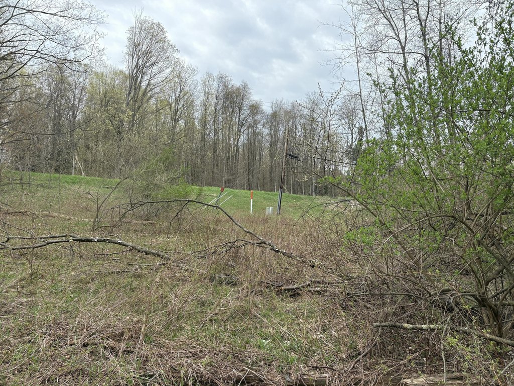 Picture 19
