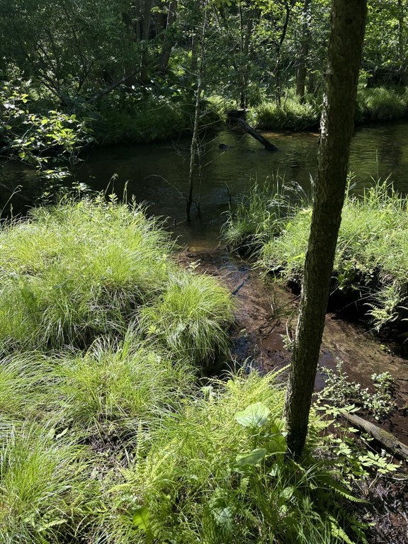 Picture 12