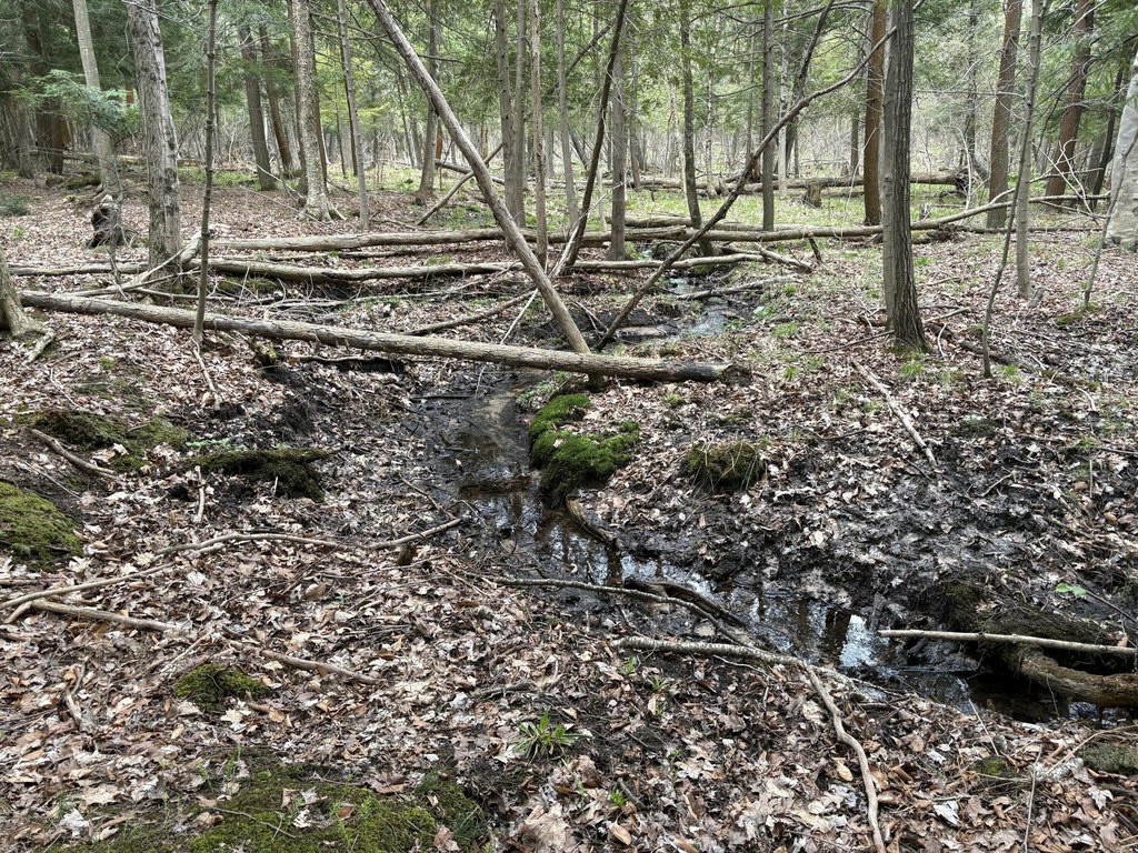 Picture 24