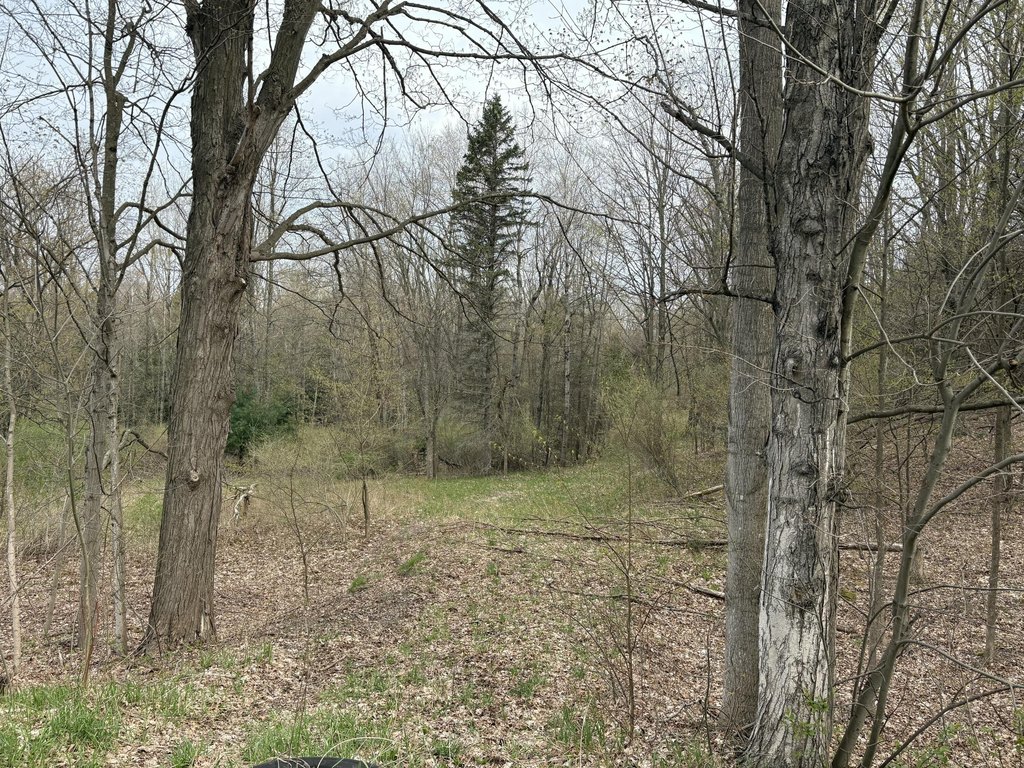 Picture 17