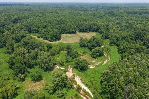 Hunting Land With Cabin