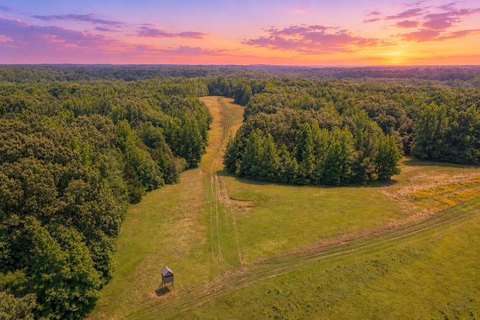 Hunting Land With Cabin