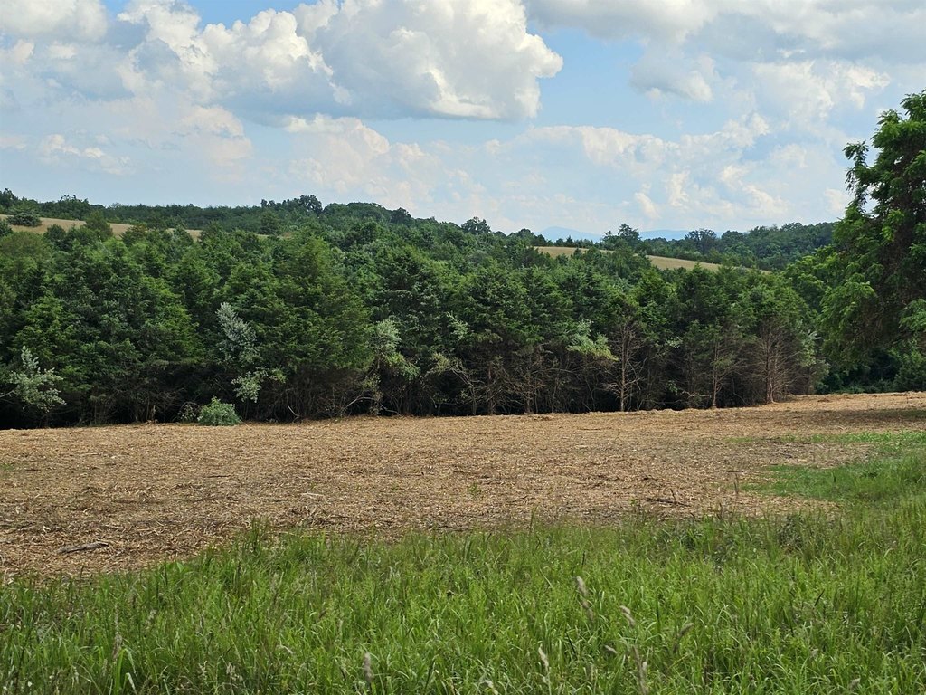 Picture 40