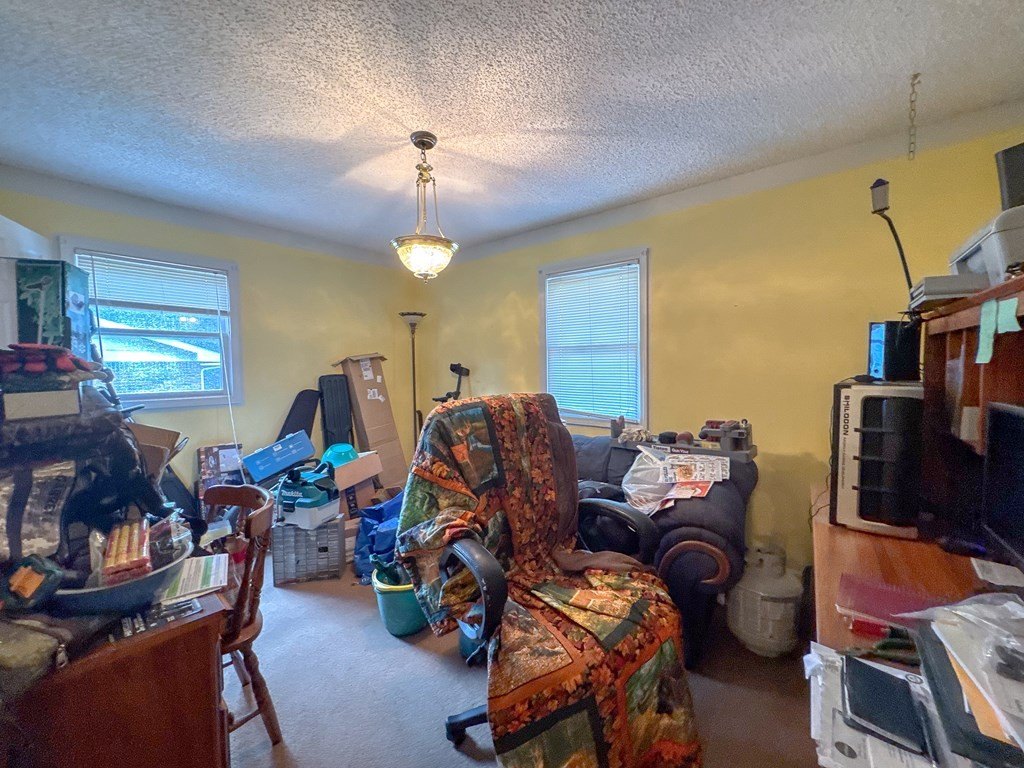 Picture 23