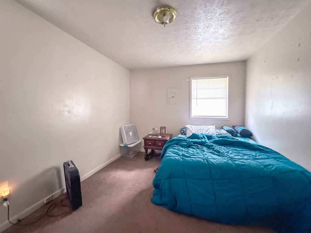Picture 39