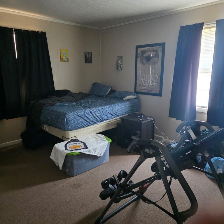 Picture 28