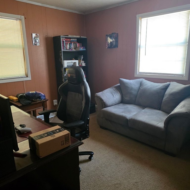Picture 29
