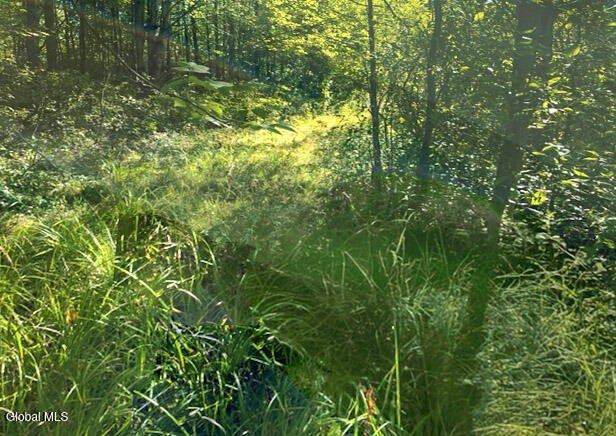 Fultonville Wooded Lot For Sale