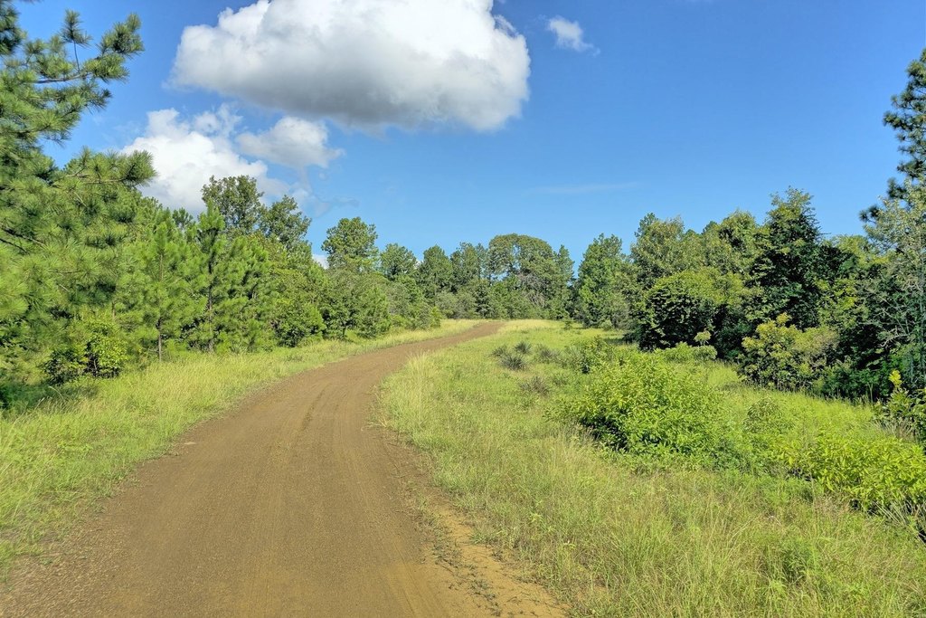 Picture 30