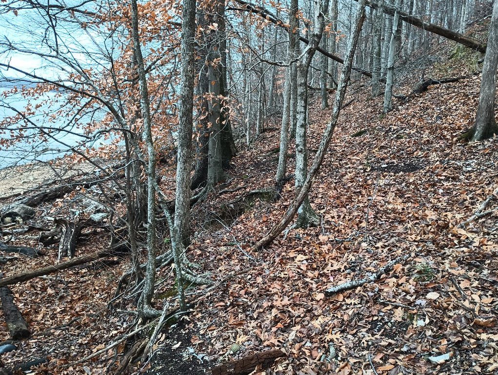 Picture 23