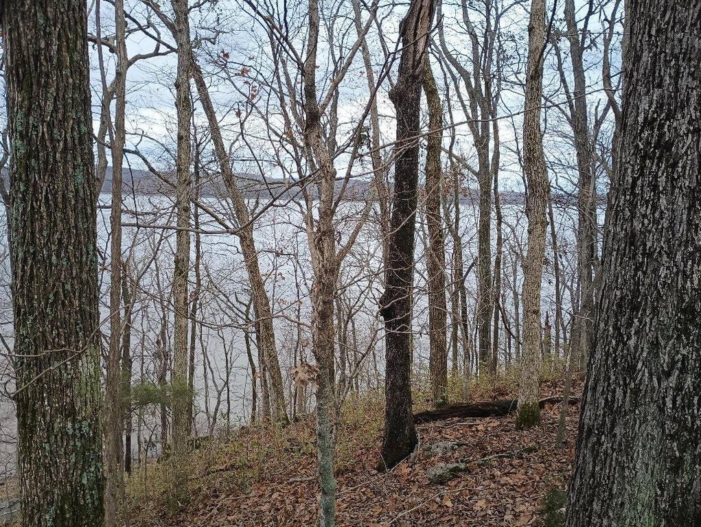 Picture 12