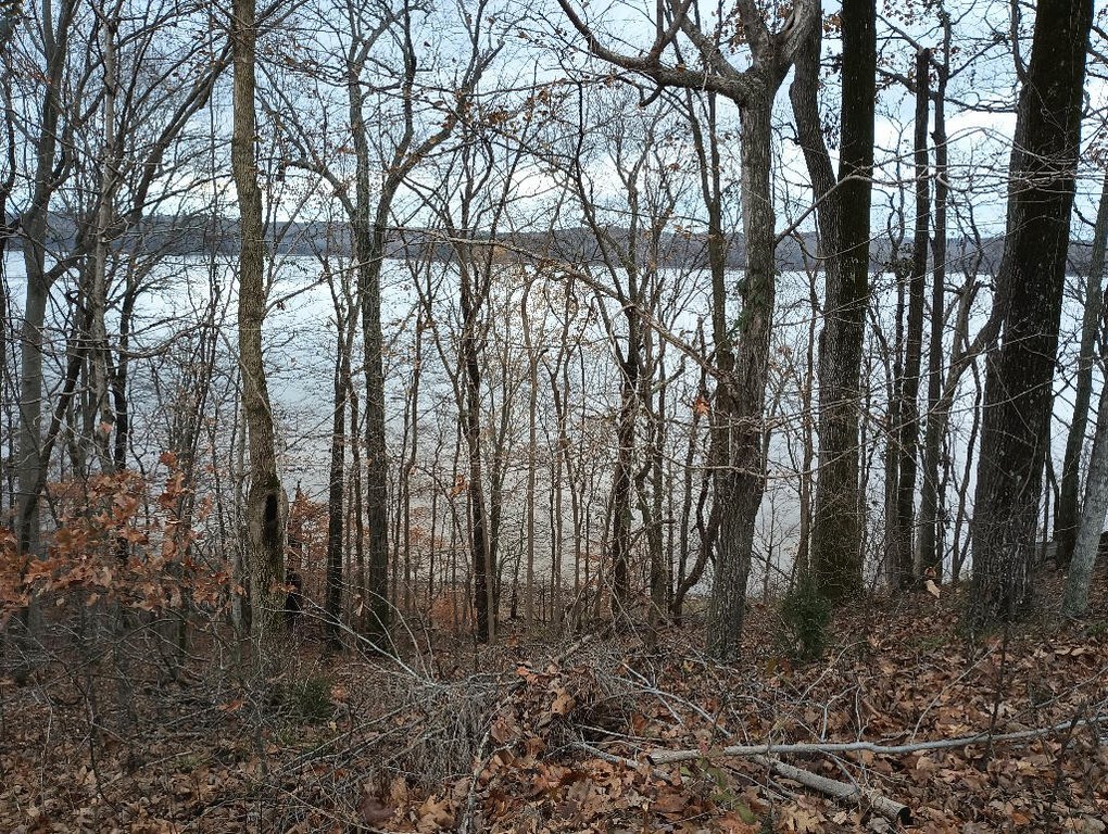Picture 3