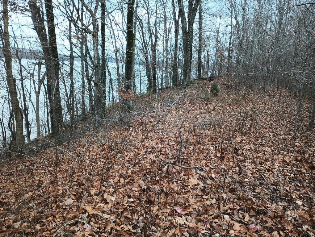 Picture 7
