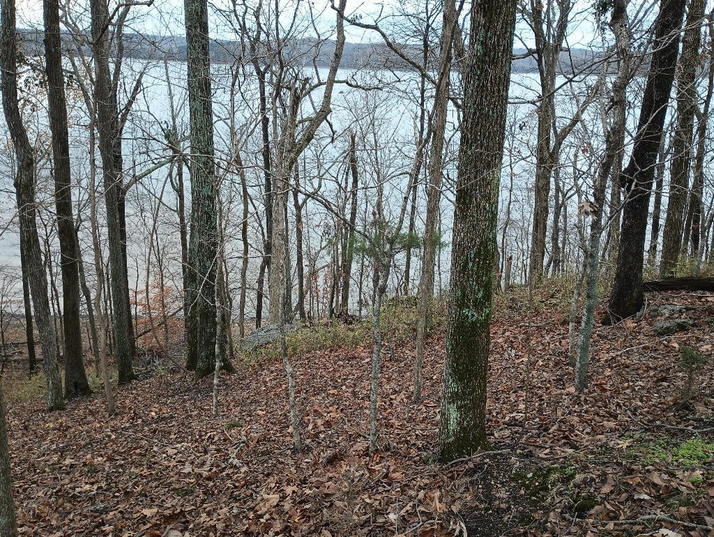 Picture 9