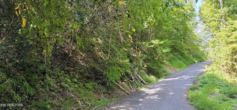 Lots & Acreage, Sevierville, TN