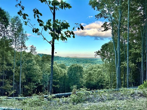 Lenoir Land with Mountain Views