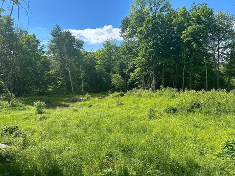 Land, Wentworth, NH