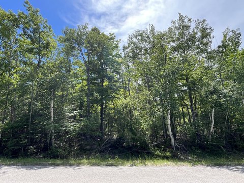 Private Wooded Double Lot