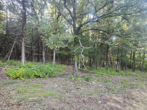 Mountain View Building Lot
