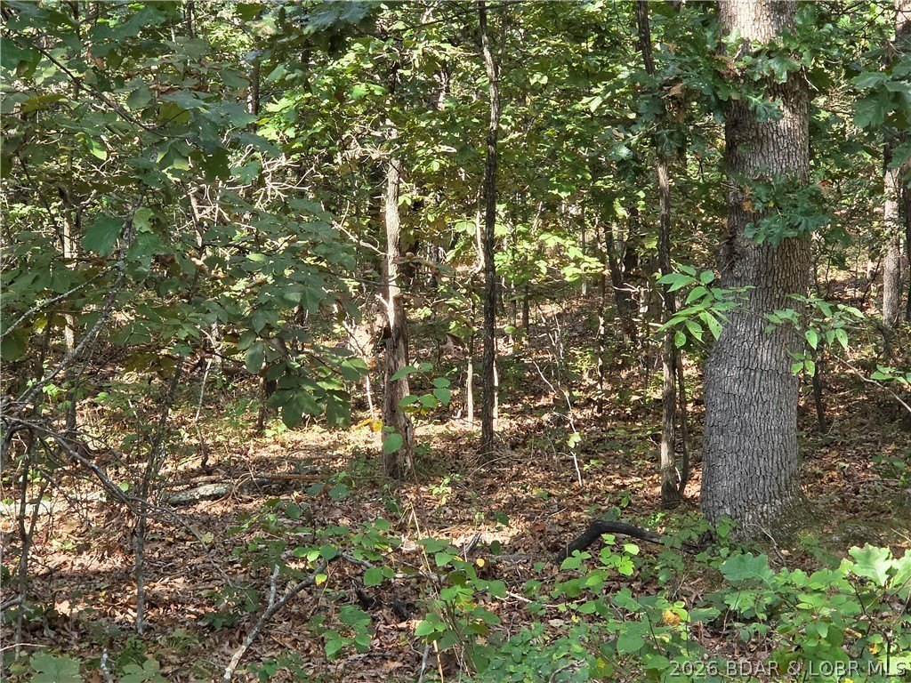 Picture 13
