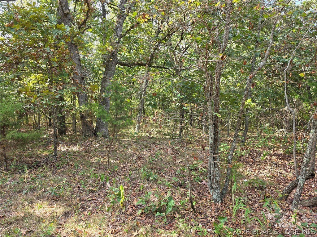 Picture 2