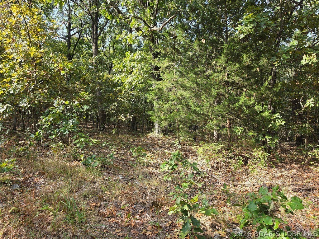 Picture 5