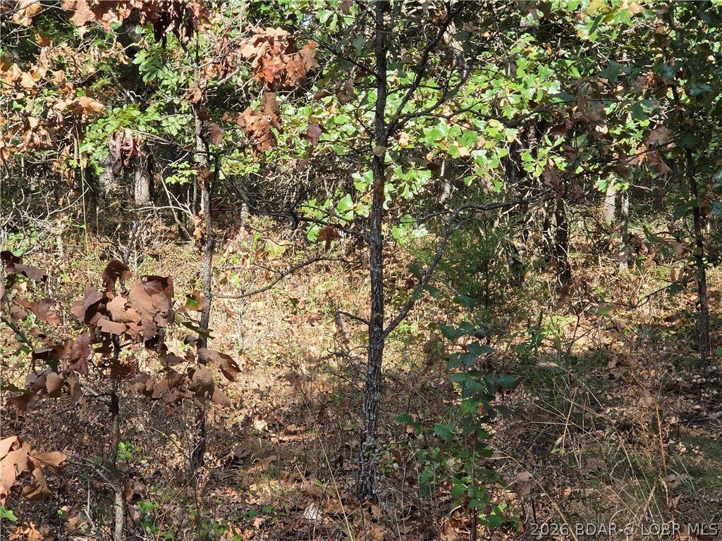 Picture 14