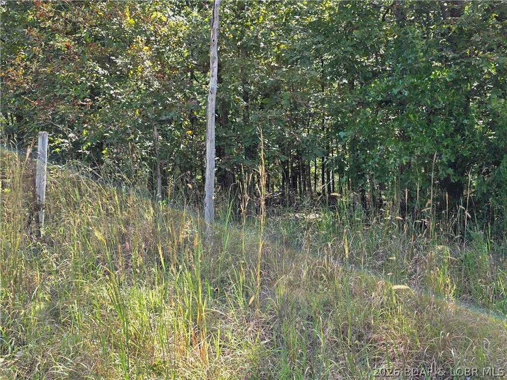 Picture 19