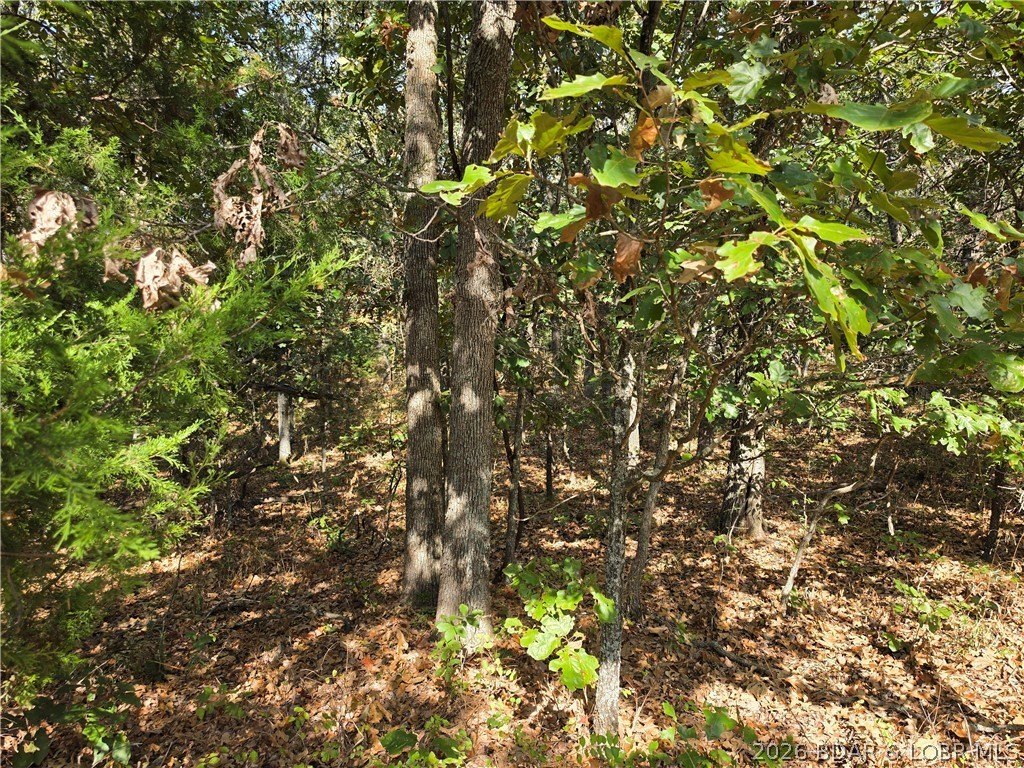 Picture 17