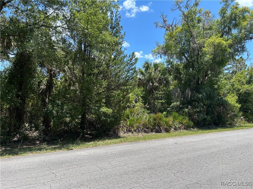 Crystal River Buildable Lot