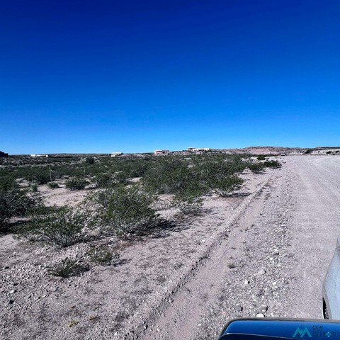 Picture 5