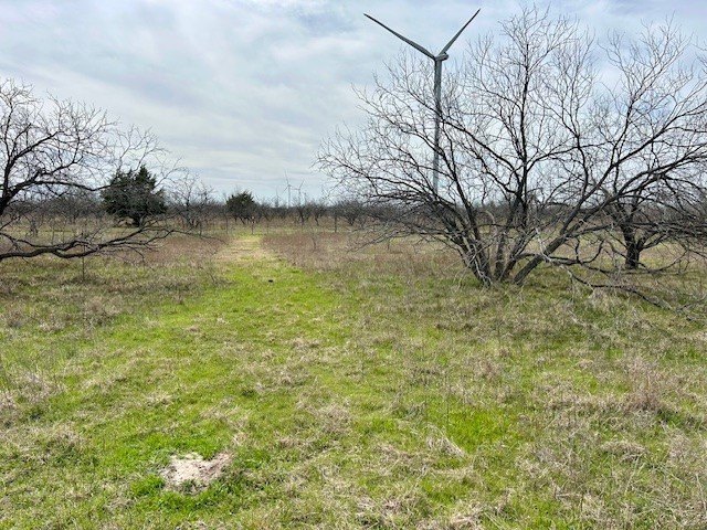 Picture 4