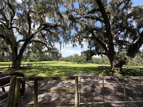 Fenced Agricultural Land
