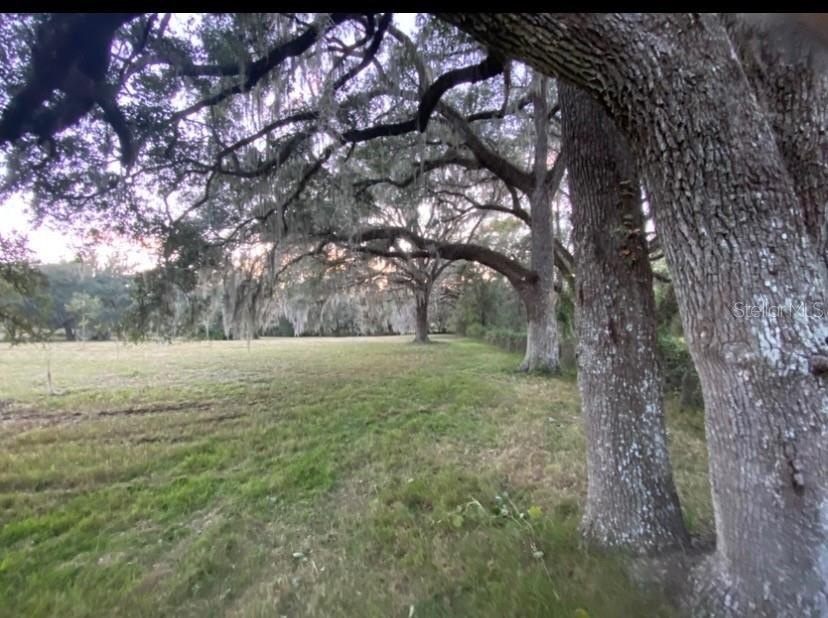 Picture 12